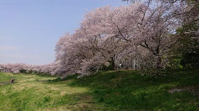 Owada Park