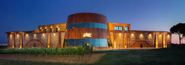 Dominio de Cair S.L.- Ribera del Duero