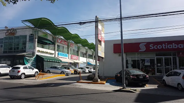 The Italian Coffee Company