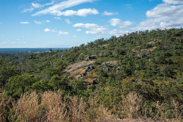 John Forrest National Park