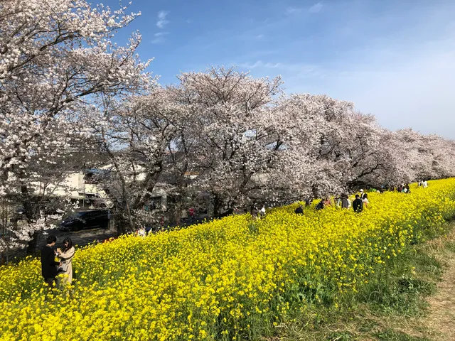 Kumagaya Arakawa Green Park