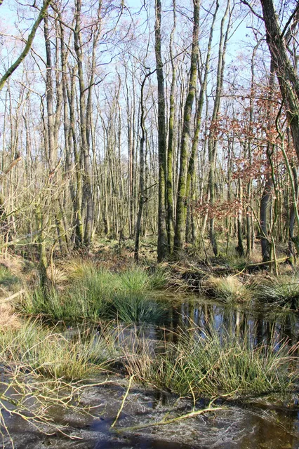 Natuur.huis De Rammelaars