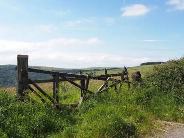 Saltalbero Adventure Park