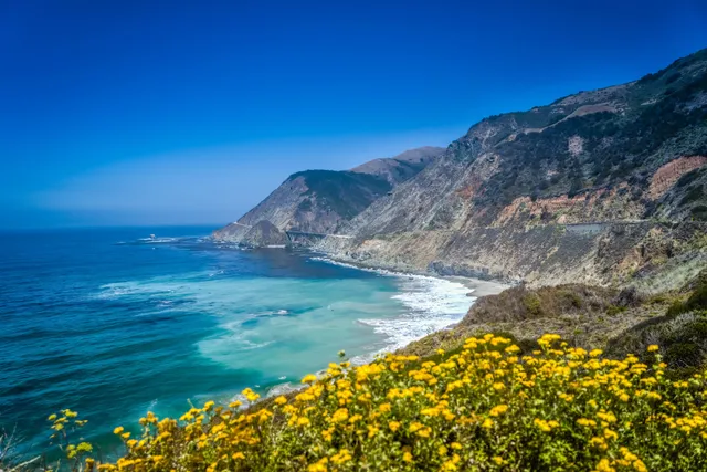 Landels-Hill Big Creek Reserve