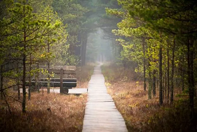 Varnikai Nature Trail