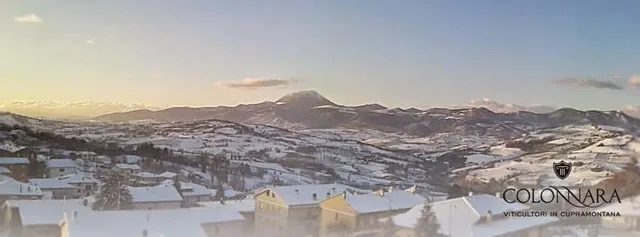 Colonnara Soc. Coop. Agricola