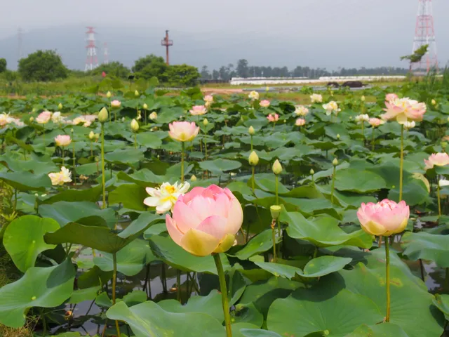 Kokuei Kisosansen Koen Sendohira Kasen Park