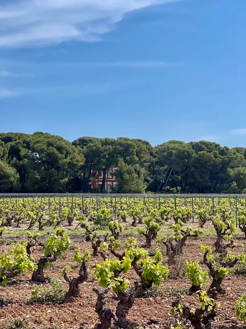 Domaine du Mas Rouge