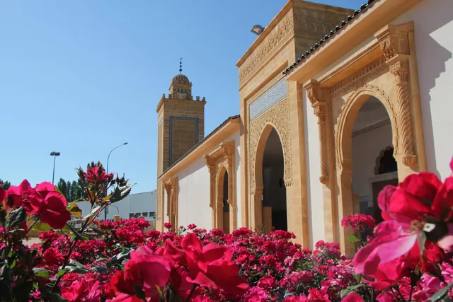 Grande Mosquée Mohammed VI de Saint-Étienne
