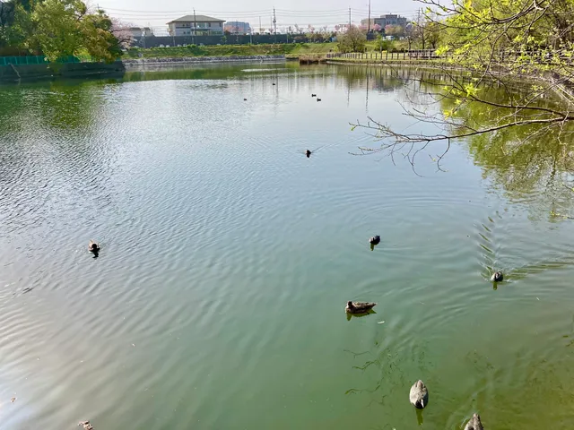 Fukuike Oasis Park