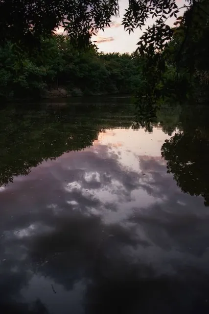 Colohatchee Park and Dog Park