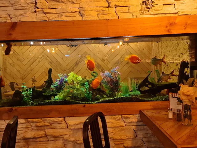 The Arborist Rooftop Bar