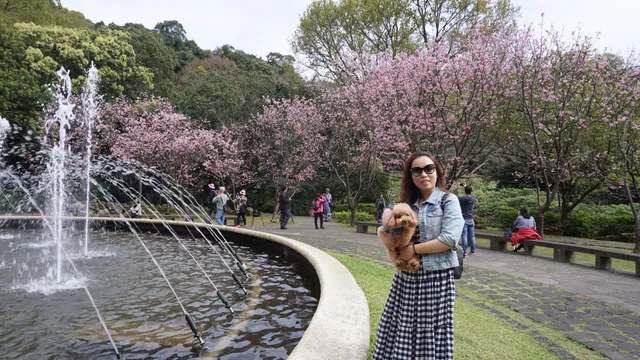 Yangmingshan Fountain
