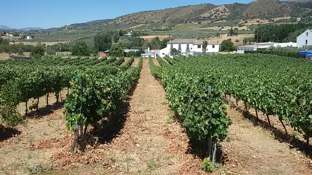 Bodega Garcia Hidalgo
