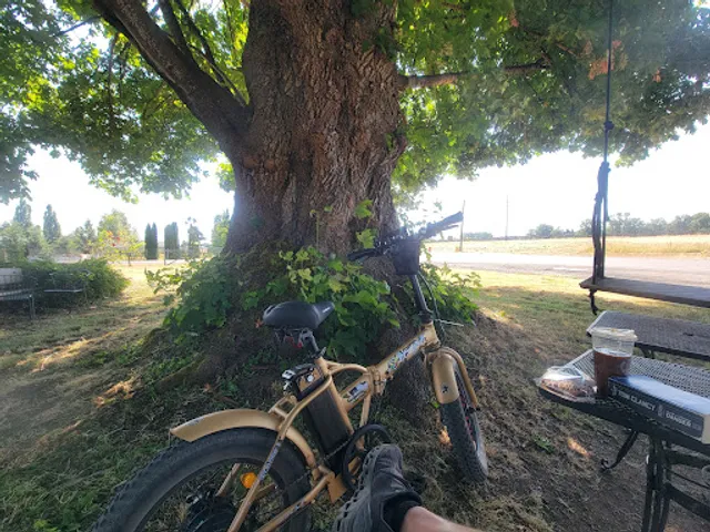 Skull & Crossbones Coffee Co.