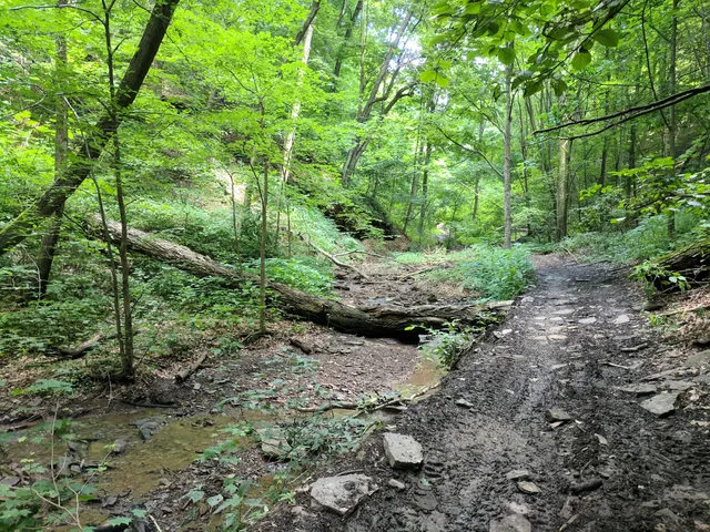 Barking Slopes Conservation Area