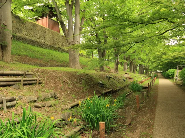 Ueda Castle Ninomaru Moat Ruins