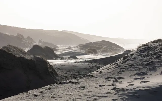 Nationaal Park Zuid-Kennemerland