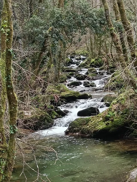 PR1/OFR Rota dos Rios e Levadas