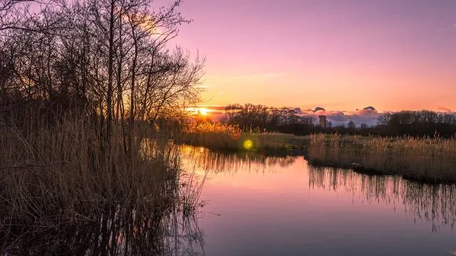 Polderpark Cronesteyn