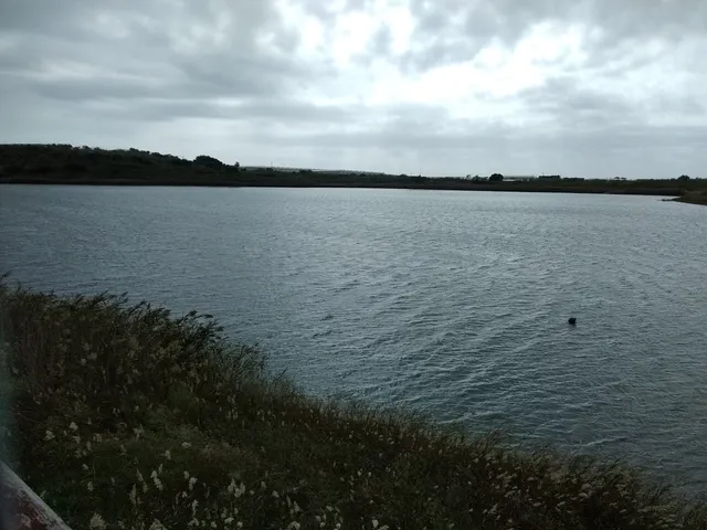 photo-3