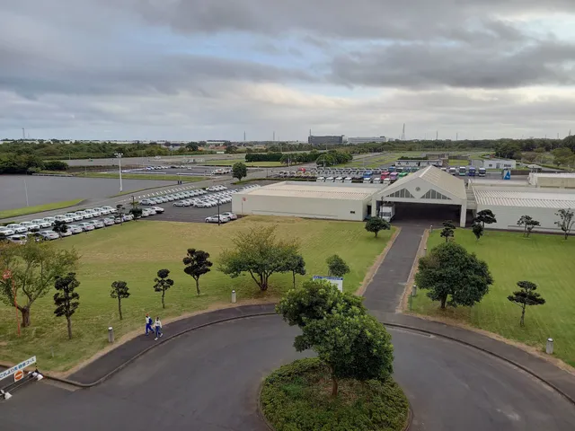 Safe Driving Central Traffic Park