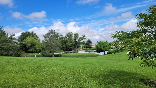 photo-3