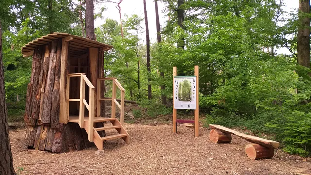 Walderlebnispfad Rehburg-Loccum