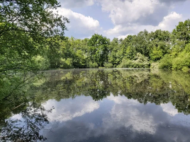 Postwegmoore im Ortsteil Kirchhellen