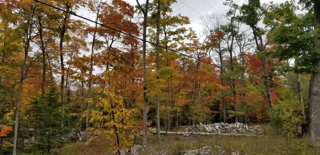 Jens Jensen Road - Curvy Road