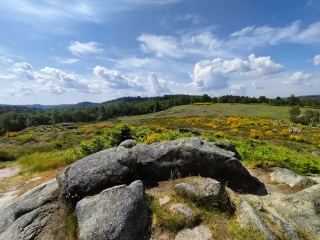 Tourbière de la Mazure