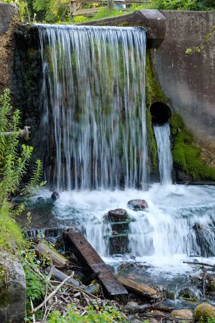 Paradise Springs Nature Trail