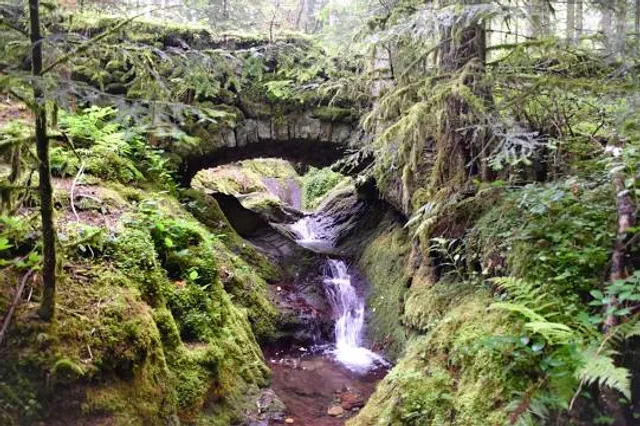 Edelfrauengrab-Wasserfälle