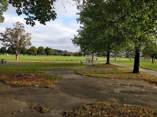 Moakley Park