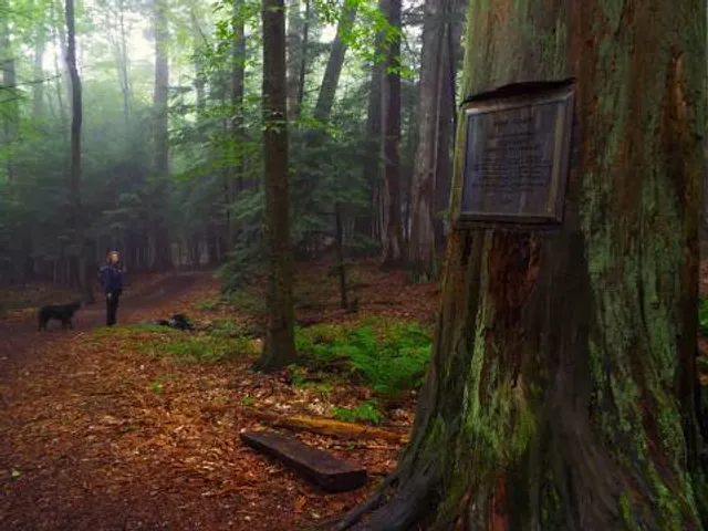 Cook Forest State Park Office