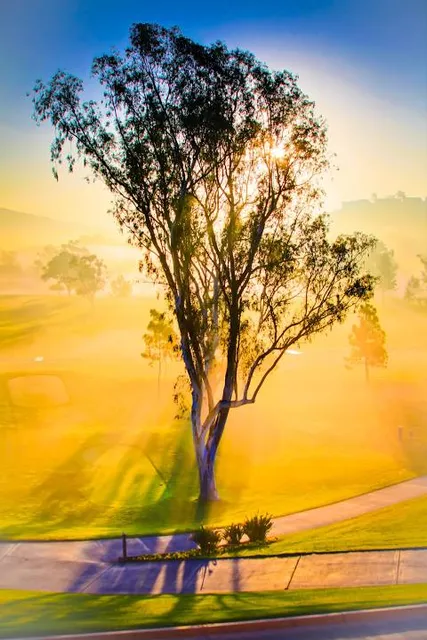 Omni La Costa Resort & Spa