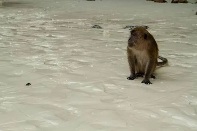 Killens Pond Water Park