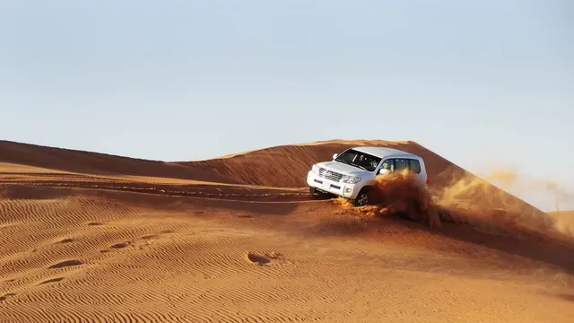 Safari Splash