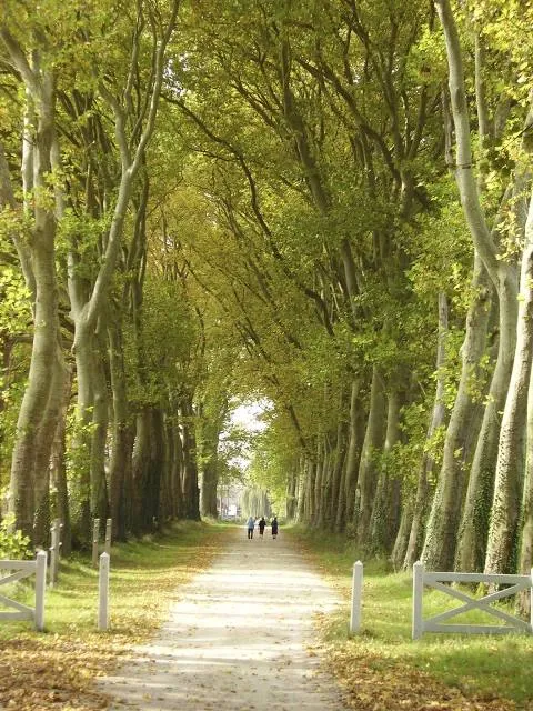 photo-1