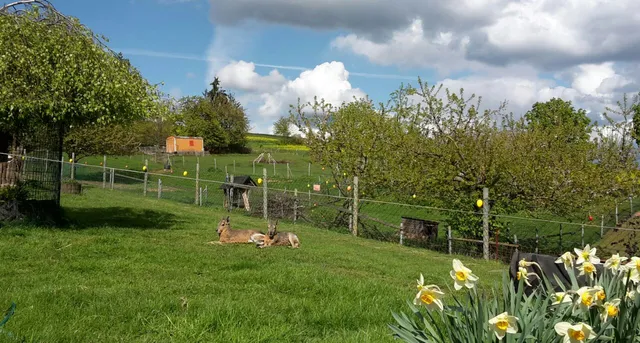 Samtgemeinde Hattorf am Harz