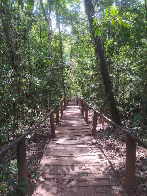 Trilha Fazenda Vagafogo