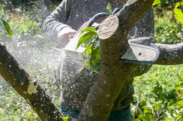 Open-air Museum in Stary Młyn