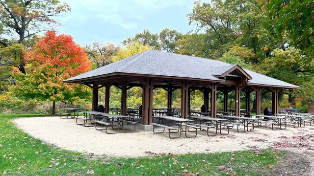 Van Patten Woods Forest Preserve