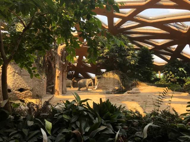 Kaeng Krachan Elefantenpark