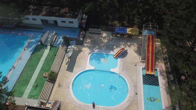 オオサキチョウマスマルプール