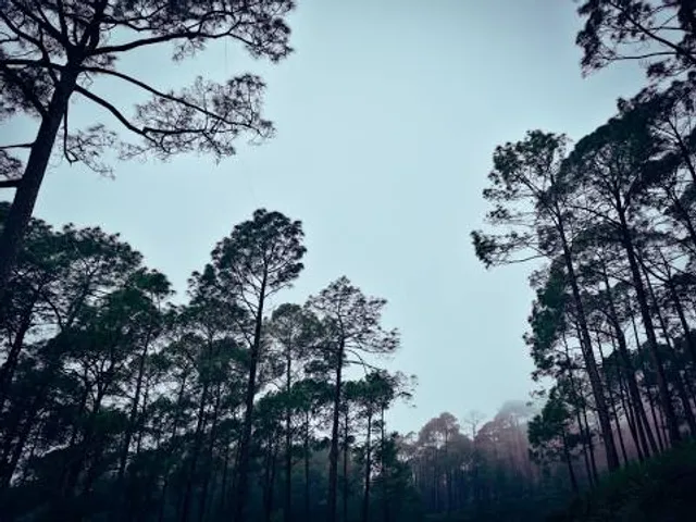 Fred Gannon Rocky Bayou State Park