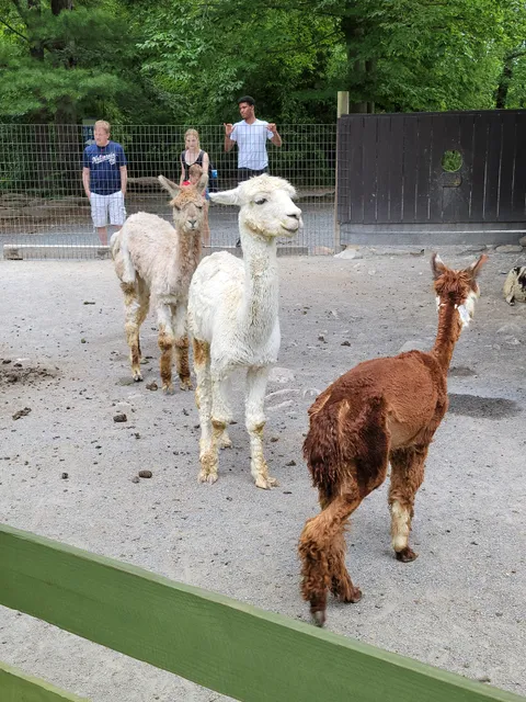 Catoctin Wildlife Preserve