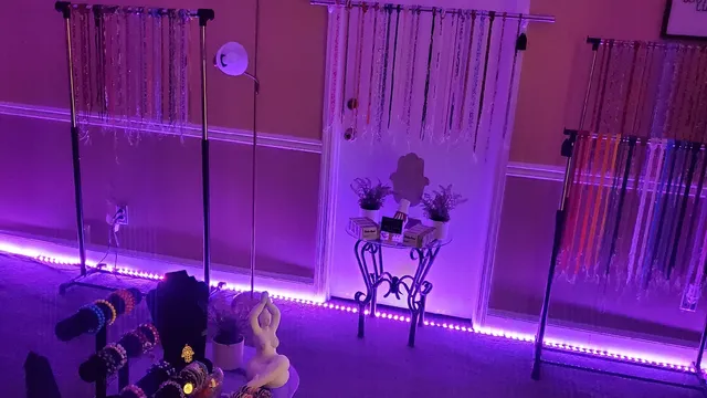 Waisted Boutique LLC