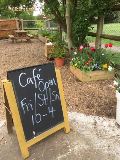 The Cafe on the Common