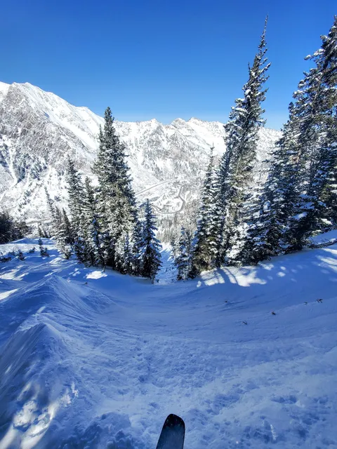 Snowbird Recreation Area